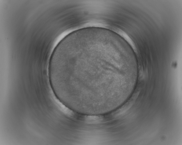 X0000091351339200709071231
