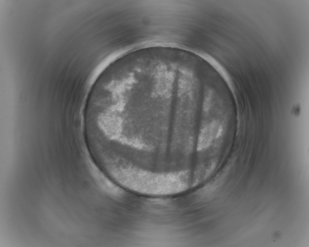 X0000091351341200709071231