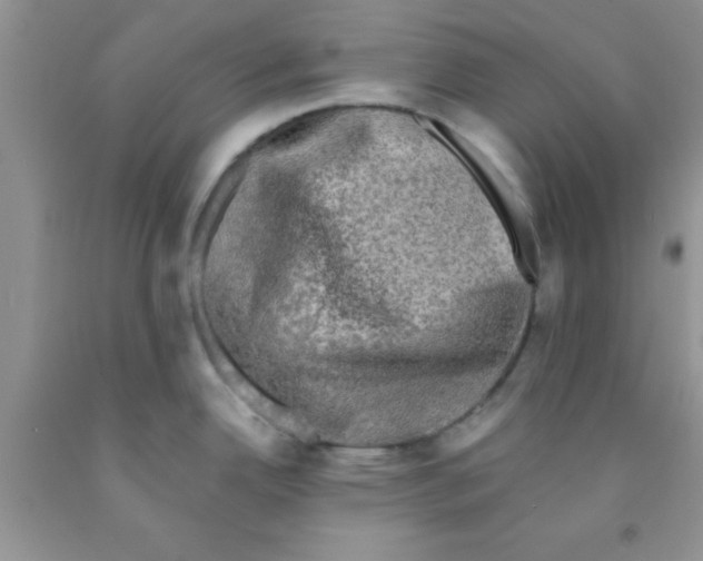 X0000091351342200709071231