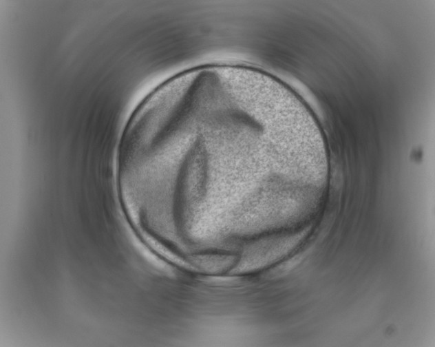 X0000091351343200709071231