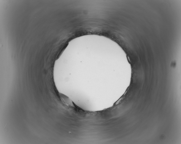 X0000091351345200709071230
