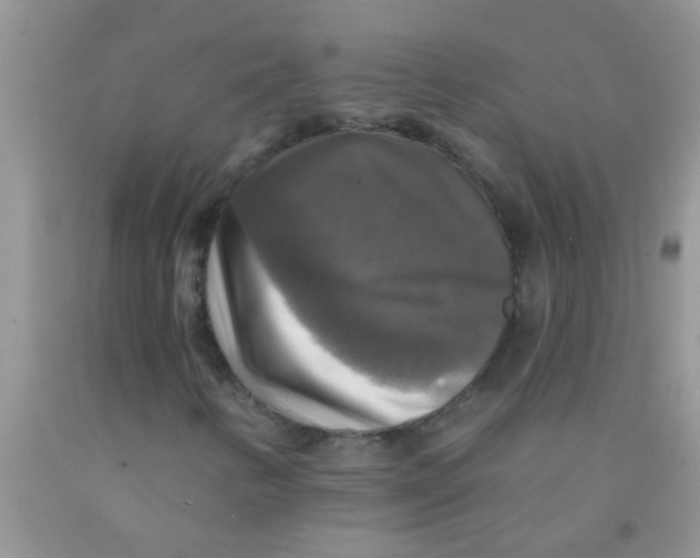 X0000091351346200709071230
