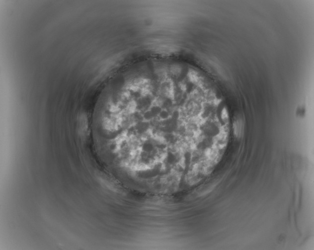 X0000091351347200709071230