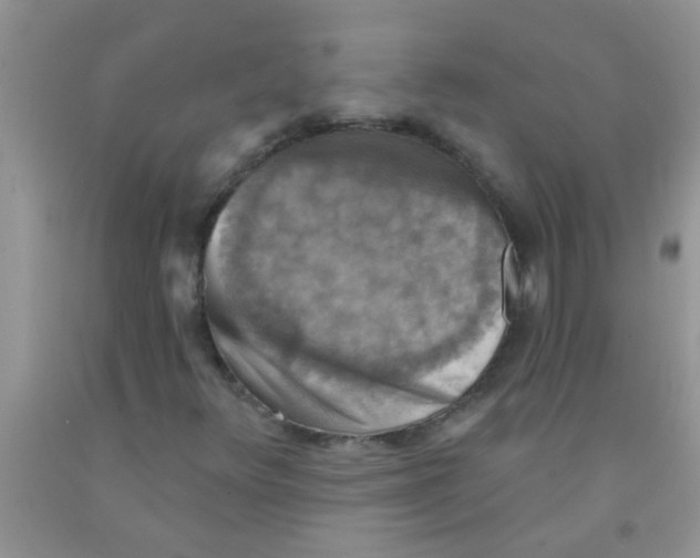 X0000091351348200709071230