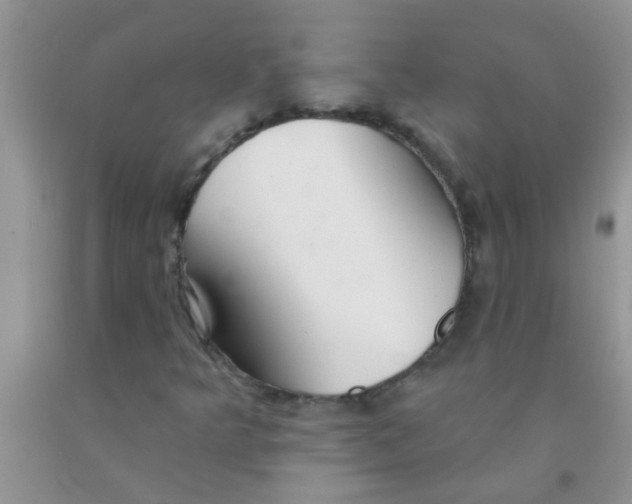 X0000091351349200709071230