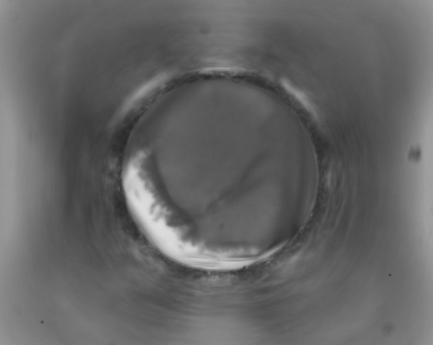 X0000091351351200709071230