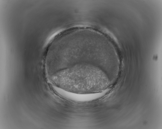 X0000091351352200709071230