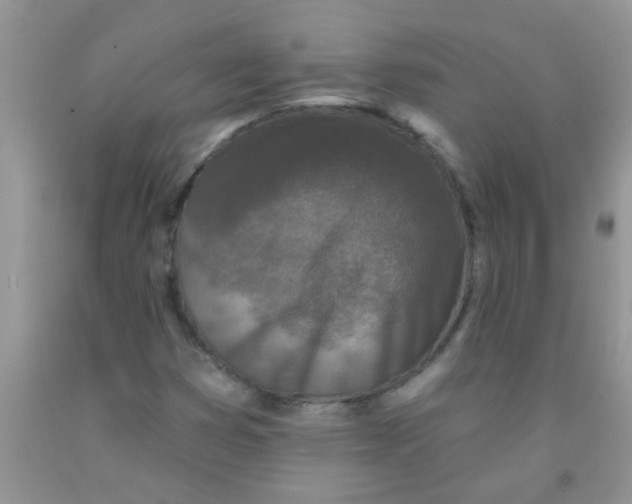 X0000091351353200709071230