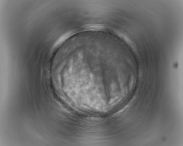 X0000091351354200709071230