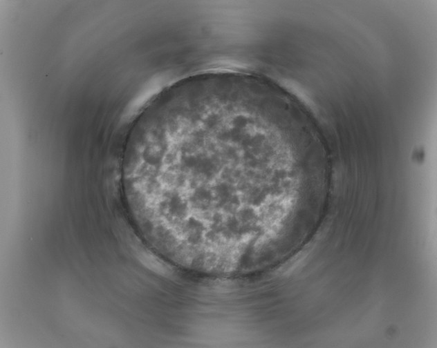 X0000091351355200709071230