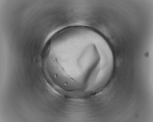 X0000091351356200709071230
