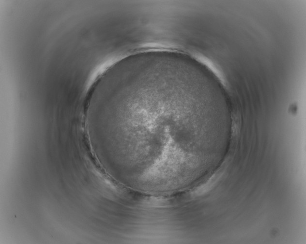X0000091351357200709071230