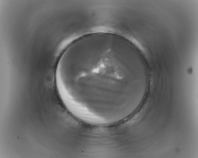 X0000091351358200709071230
