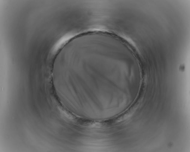 X0000091351359200709071230