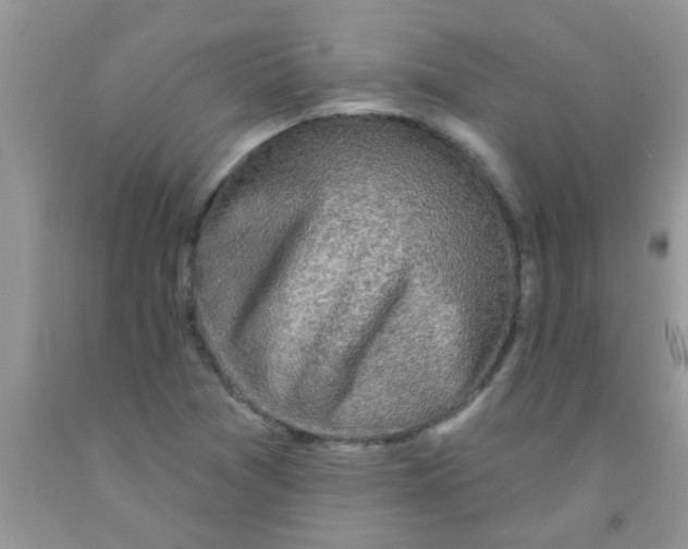 X0000091351361200709071230