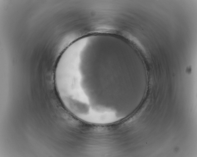 X0000091351362200709071230