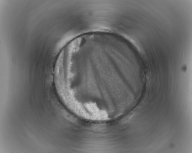 X0000091351363200709071230