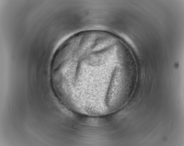 X0000091351364200709071230