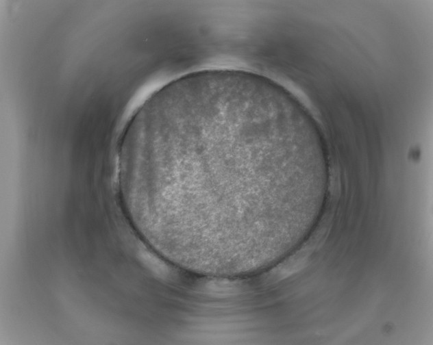 X0000091351366200709071230