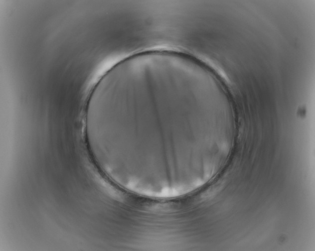 X0000091351367200709071230
