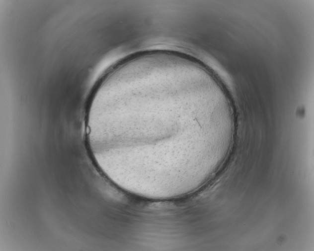 X0000091351368200709071230