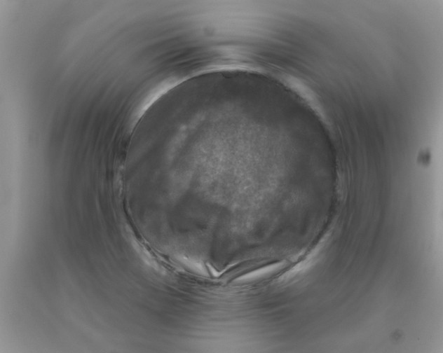 X0000091351369200709071230