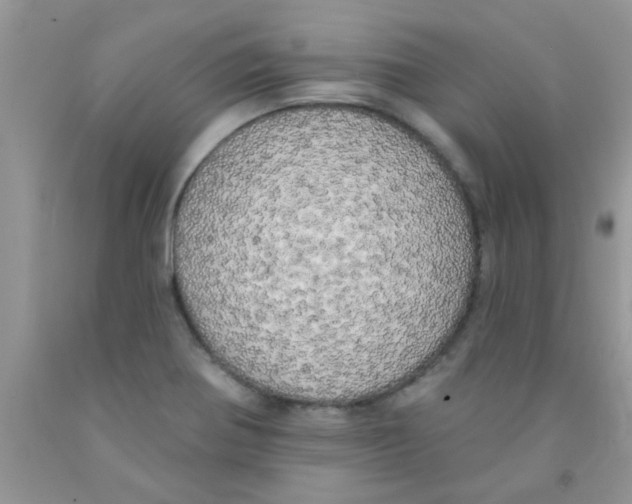 X0000091351370200709071230