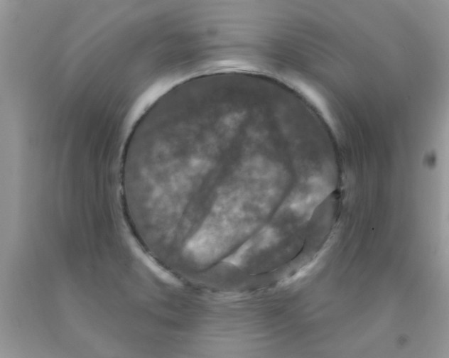 X0000091351373200709071230