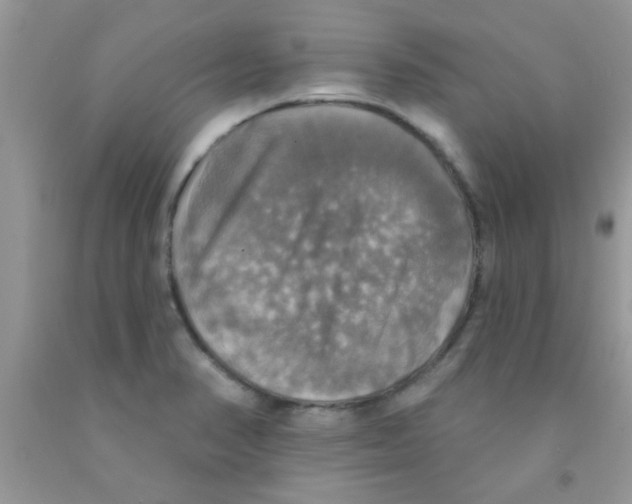 X0000091351374200709071230