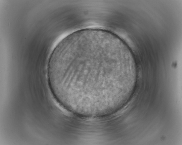 X0000091351375200709071230