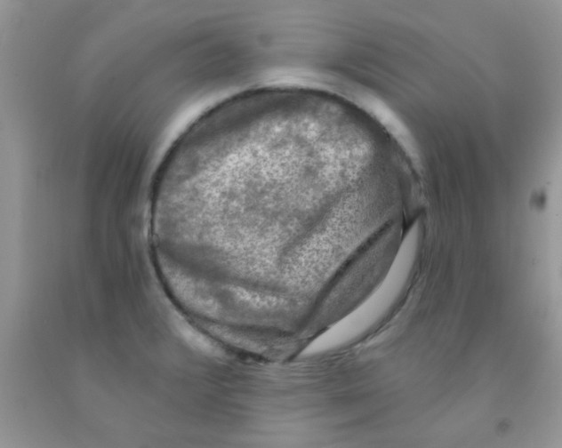 X0000091351376200709071230