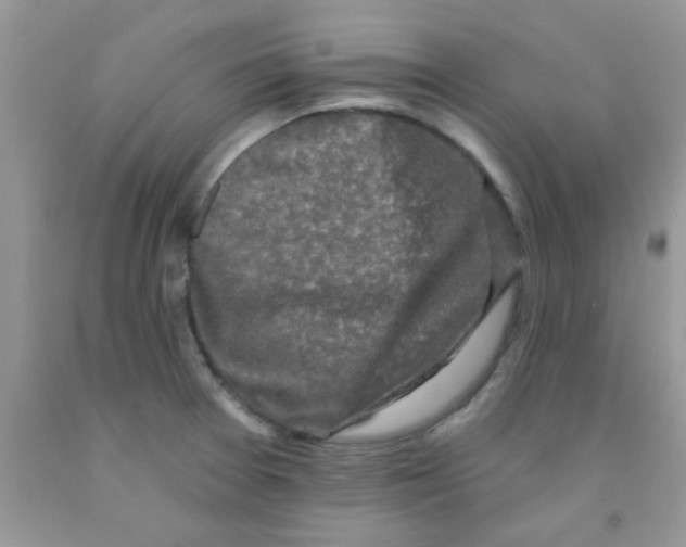 X0000091351377200709071230