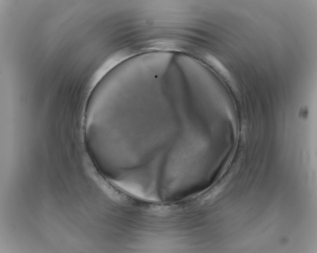 X0000091351378200709071230