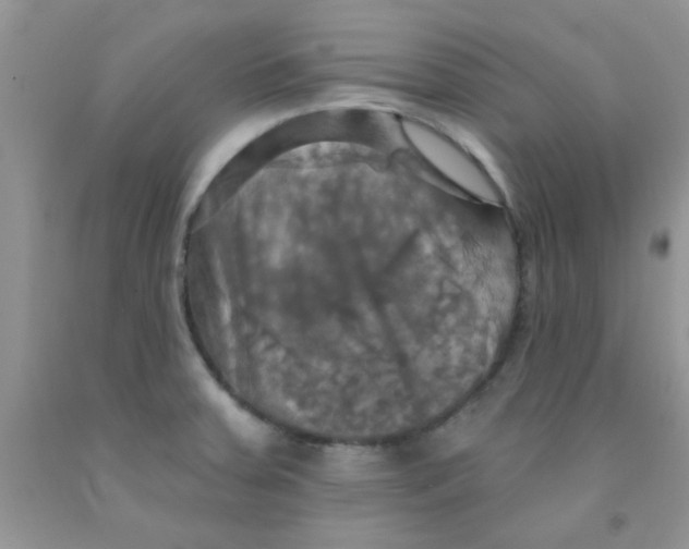 X0000091351379200709071230