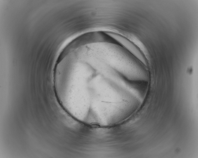 X0000091351380200709071230