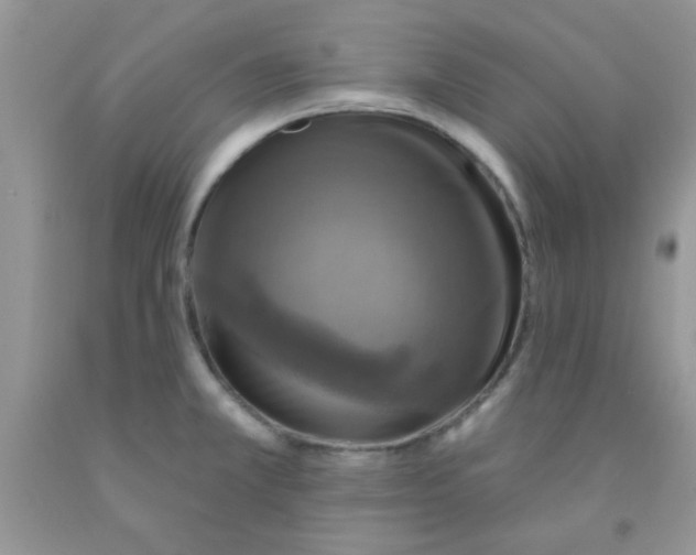 X0000091351381200709071230
