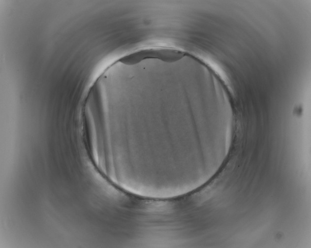 X0000091351382200709071230