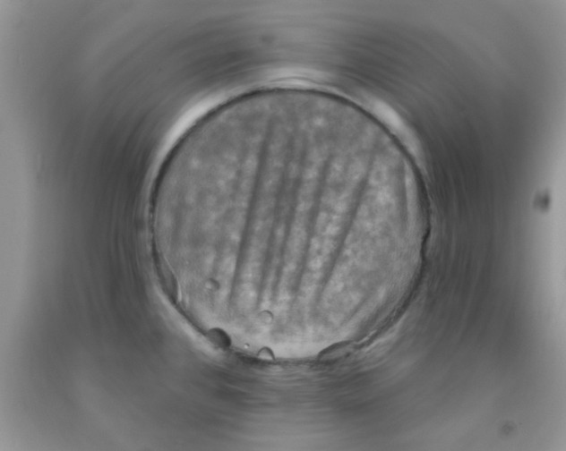 X0000091351384200709071230