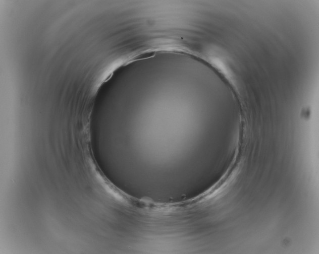 X0000091351385200709071230