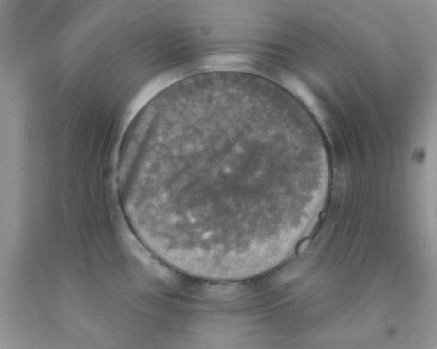 X0000091351386200709071230