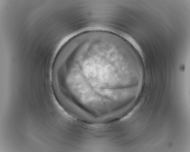 X0000091351388200709071230