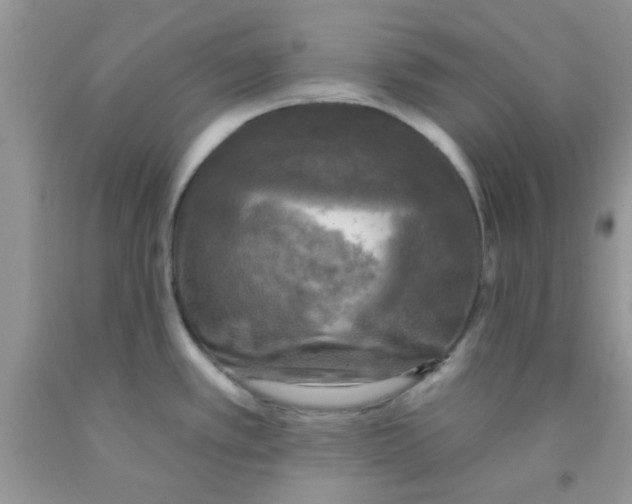 X0000091351389200709071230