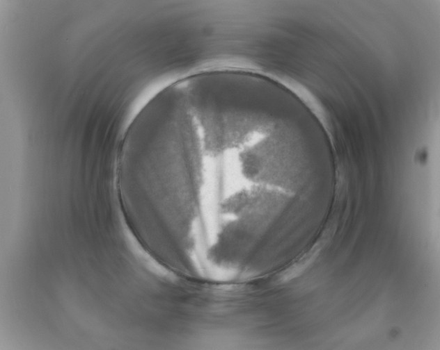 X0000091351390200709071229