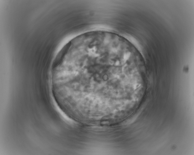X0000091351391200709071229