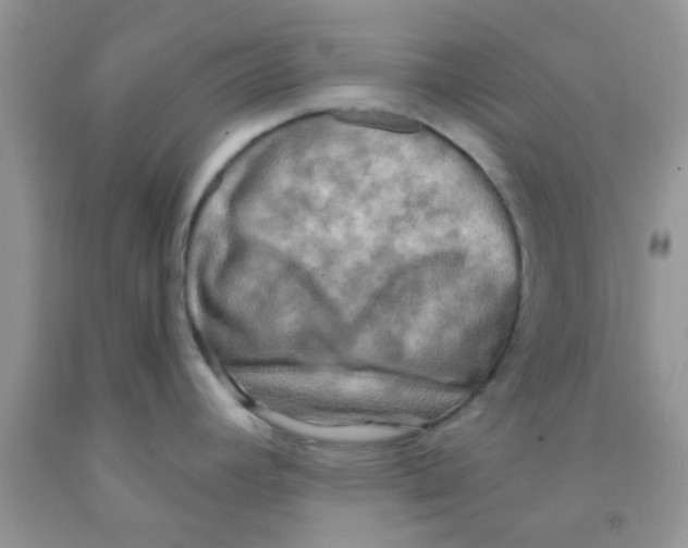 X0000091351392200709071229