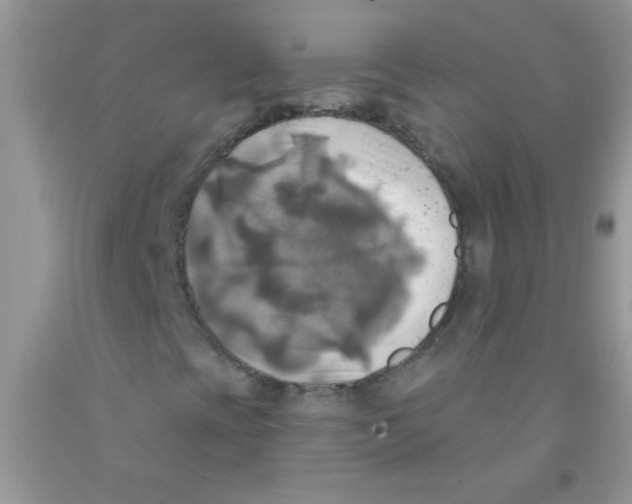 X0000091351393200709071229