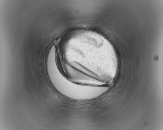 X0000091351394200709071229