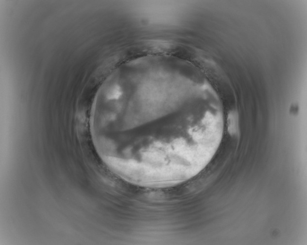 X0000091351395200709071229