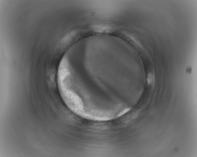 X0000091351396200709071229