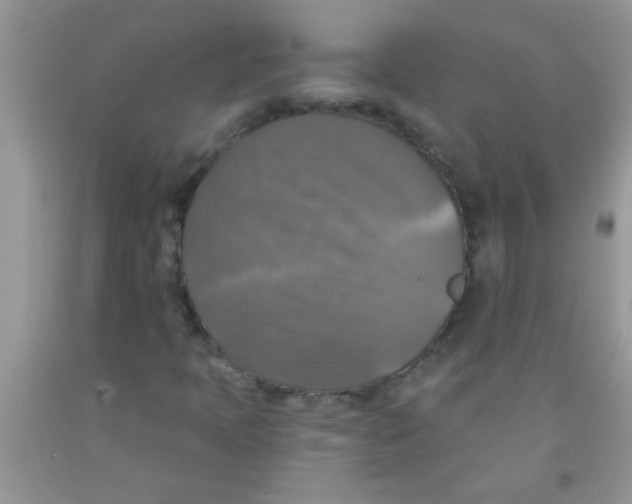 X0000091351397200709071229